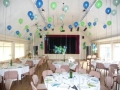 TCC Balloons 4 comp